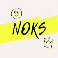Лого Noks.by
