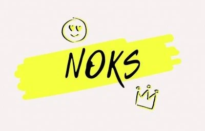 Лого Noks.by